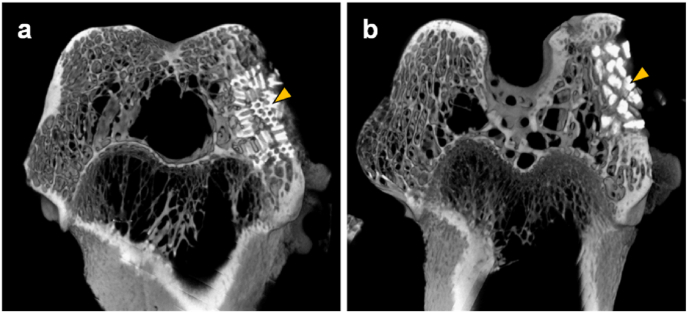 Fig. 8