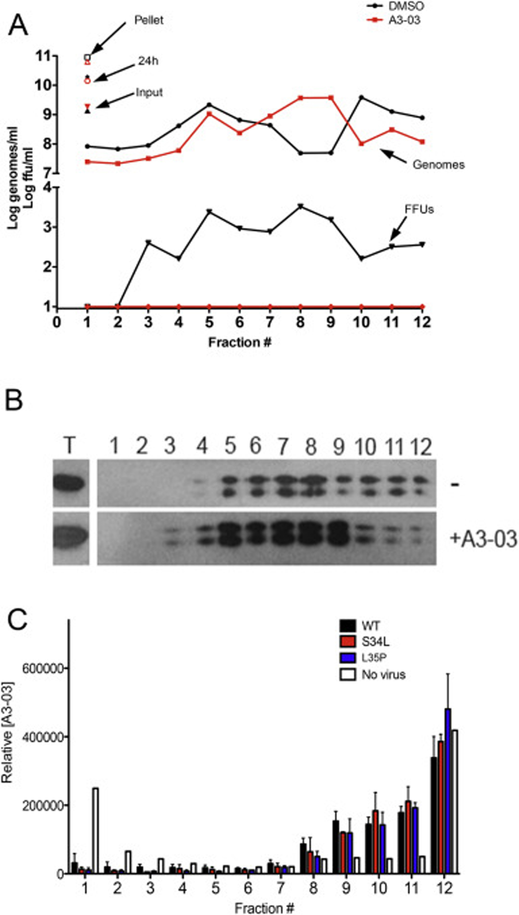 Fig. 5.