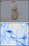 Fig. 3.