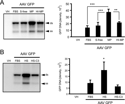 FIG. 2.