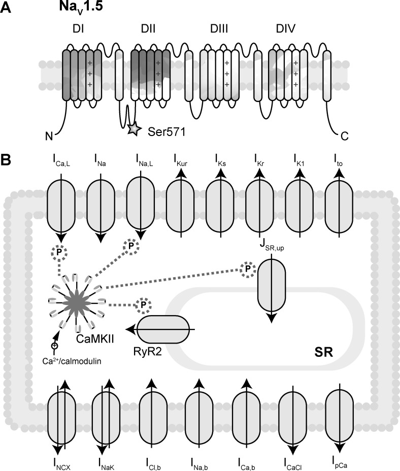 Fig. 1.