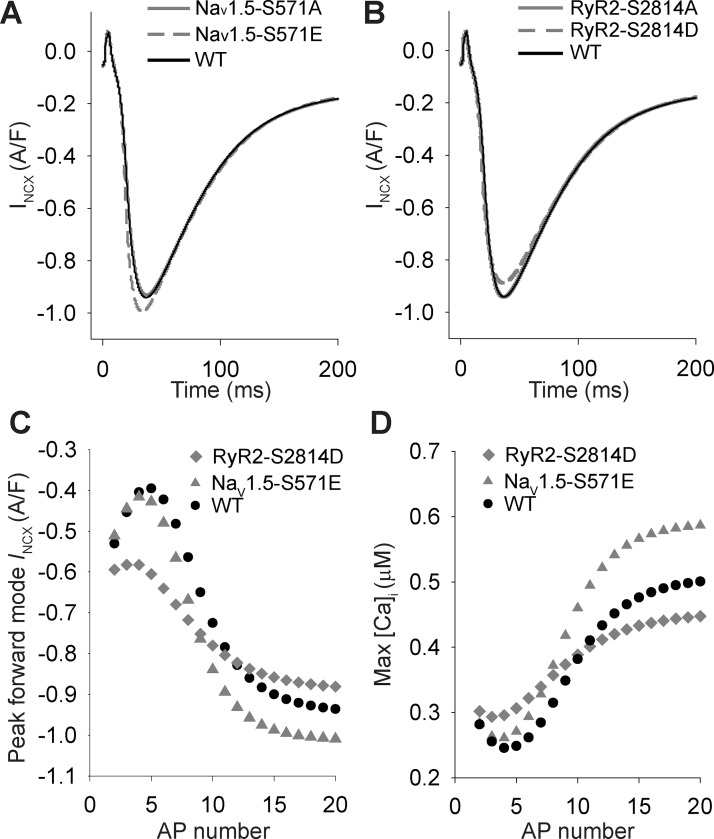 Fig. 7.