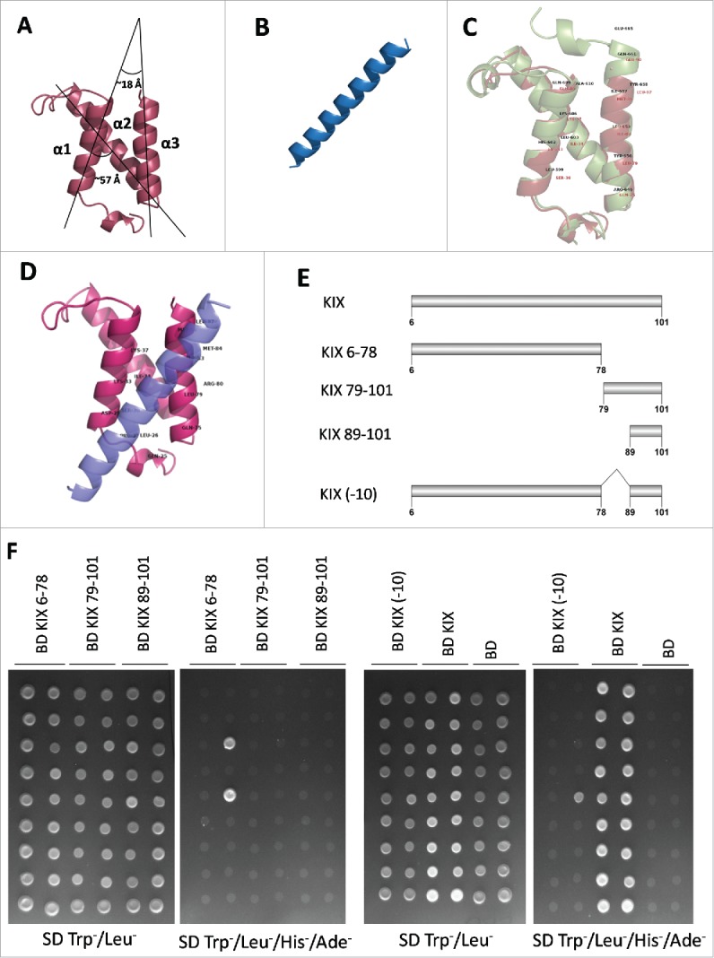 Figure 6.