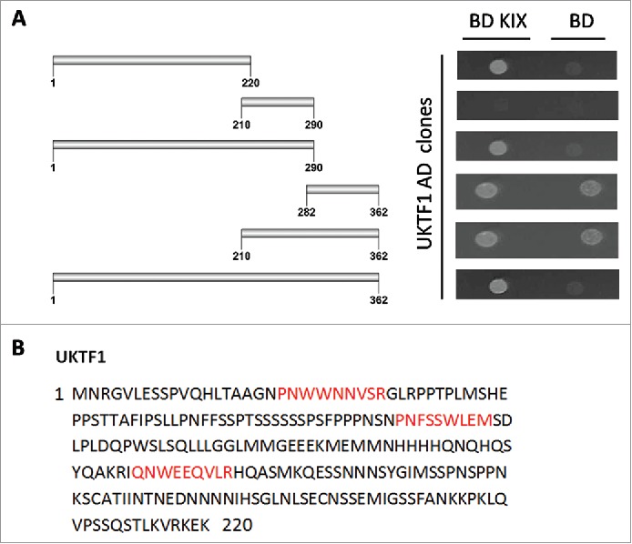 Figure 4.