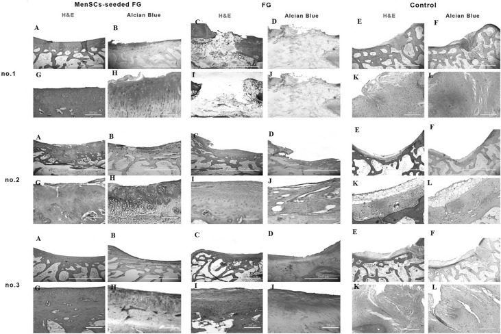 Fig. 7