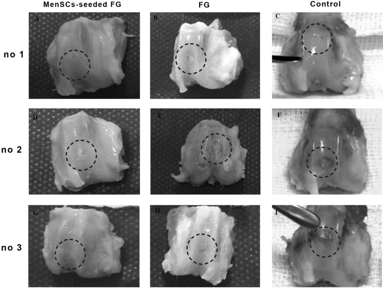 Fig. 3