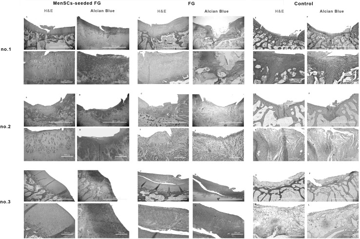 Fig. 4