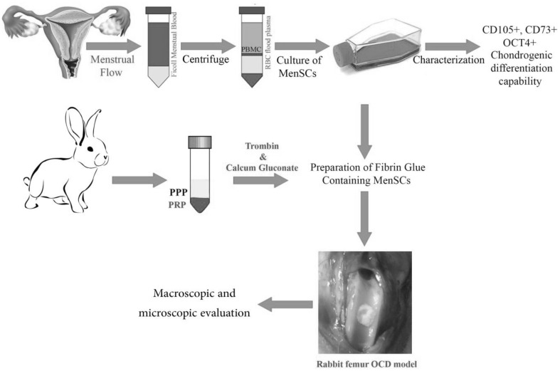 Fig. 1