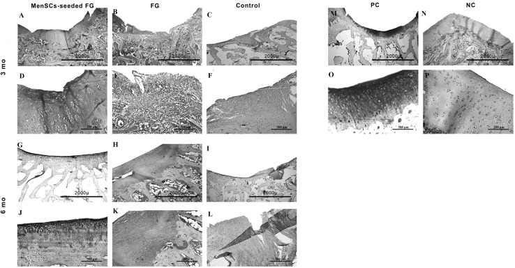 Fig. 6