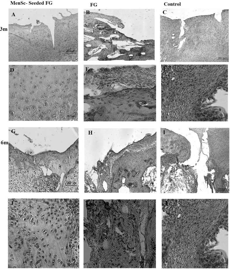 Fig. 8