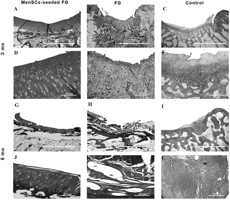 Fig. 5