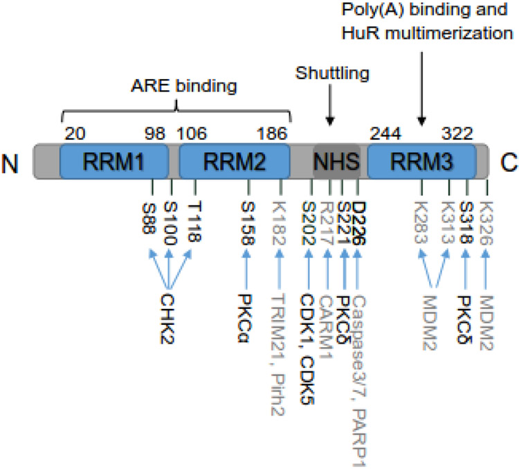 Figure 1: