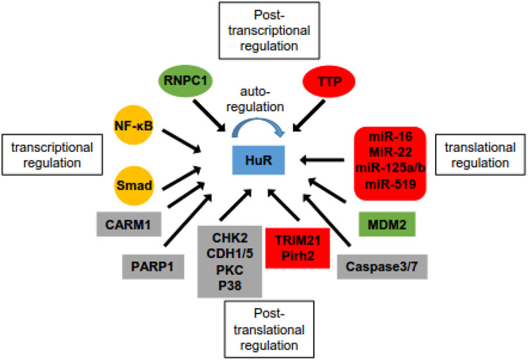 Figure 2: