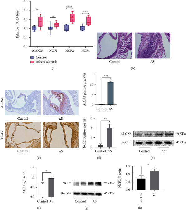 Figure 14