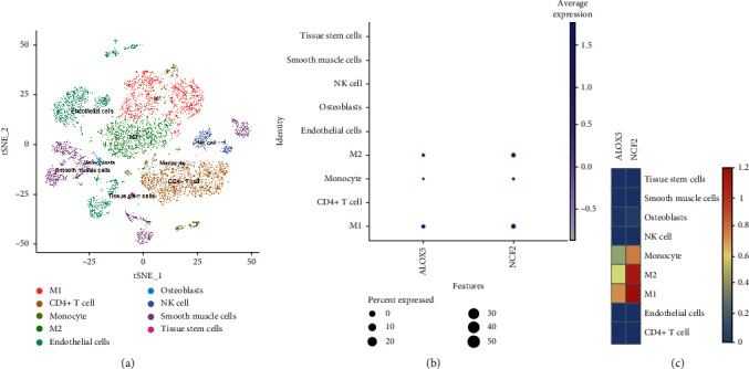 Figure 13