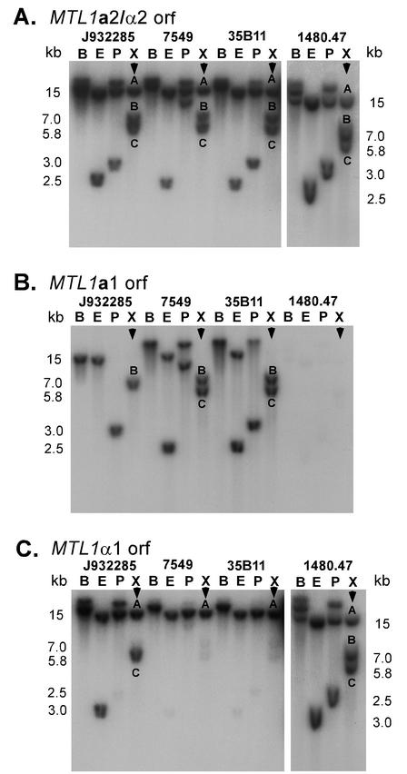 FIG. 5.