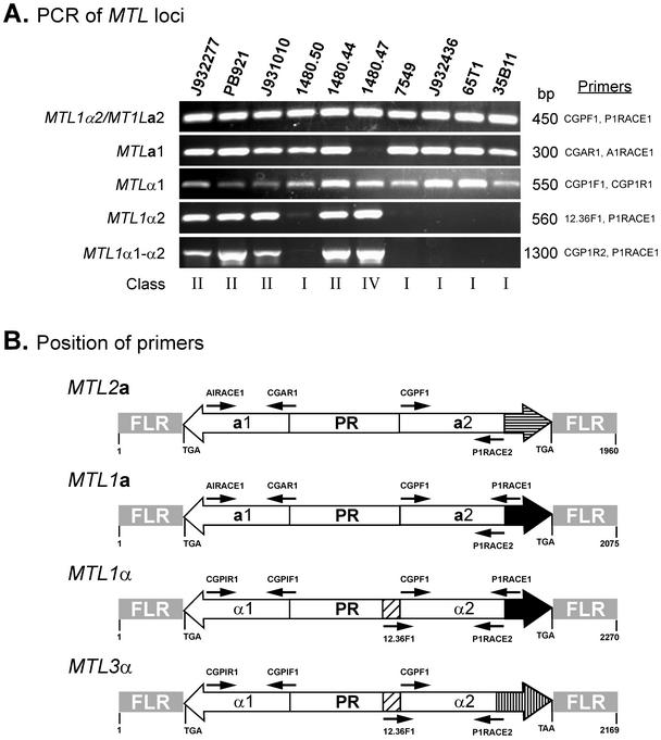 FIG. 6.