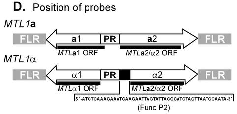 FIG. 5.