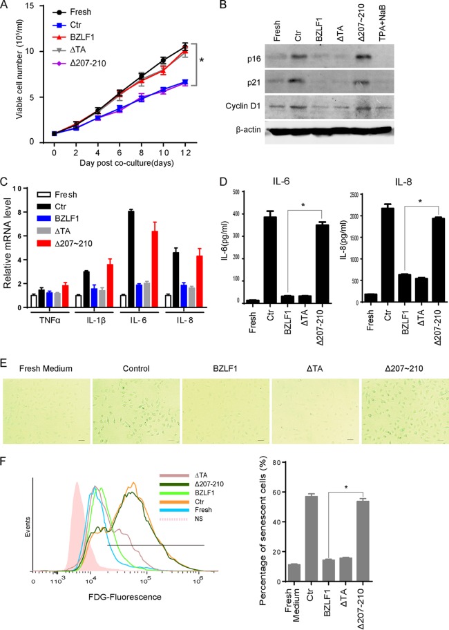 FIG 3