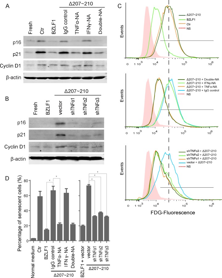 FIG 6