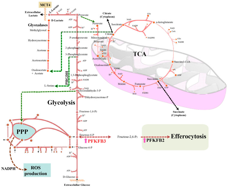 Figure 1.