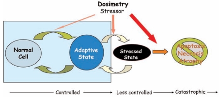 FIGURE 3