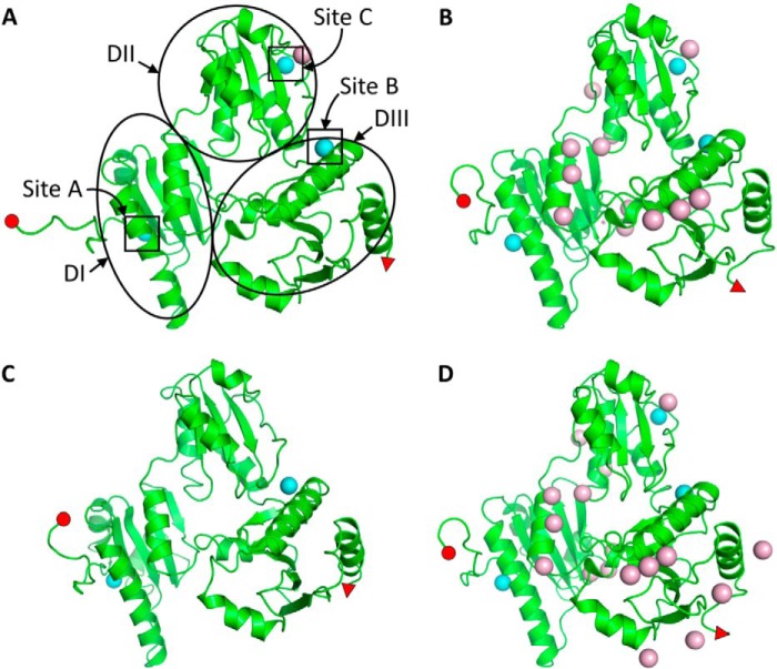 FIGURE 4.