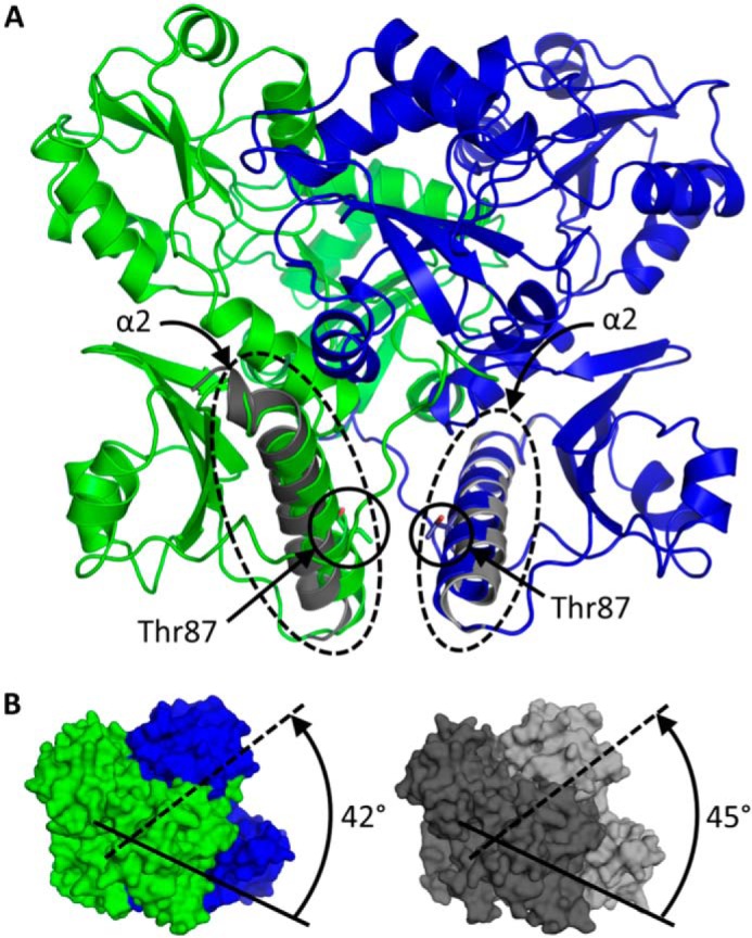 FIGURE 9.