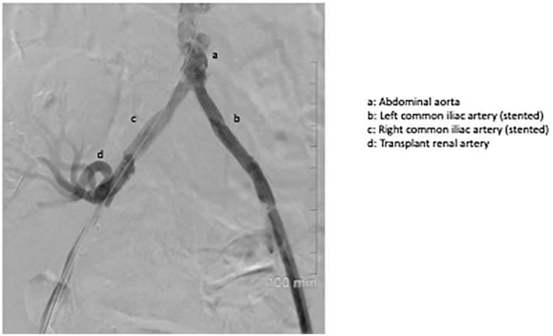 Figure 4.