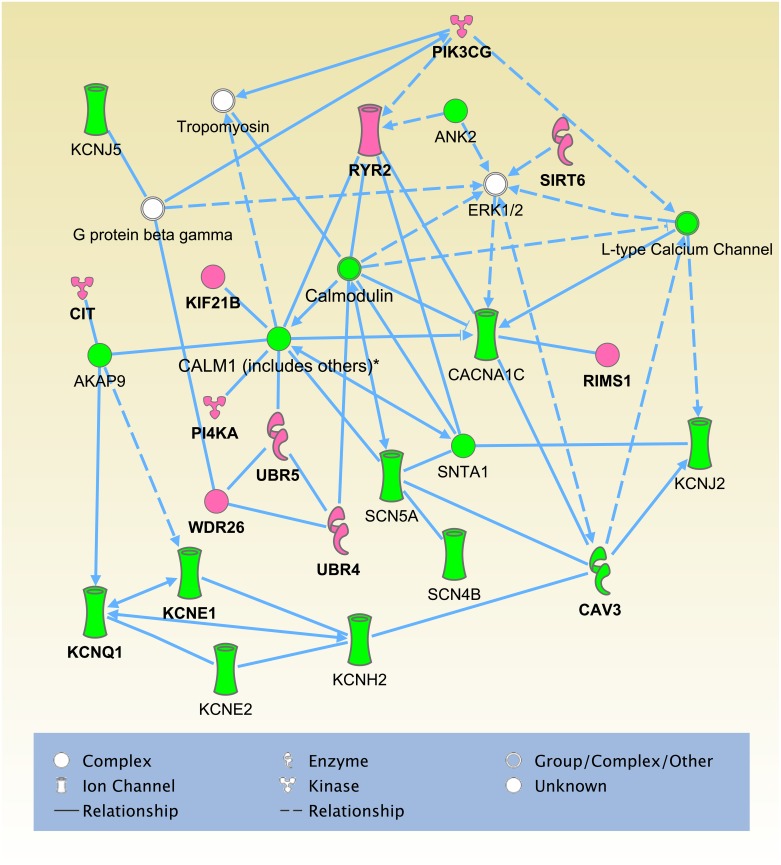 Fig 2