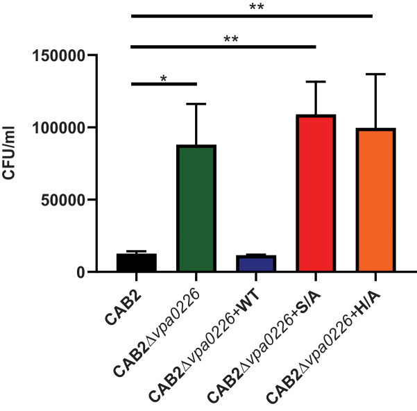 Figure 4—figure supplement 2.