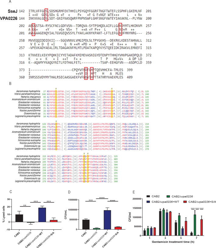 Figure 1—figure supplement 1.