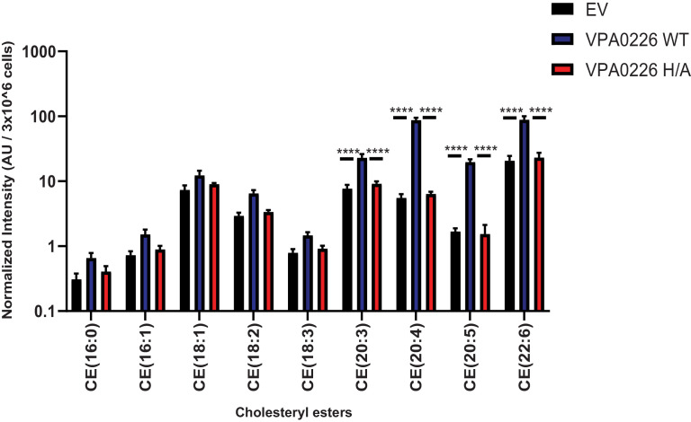 Figure 4.