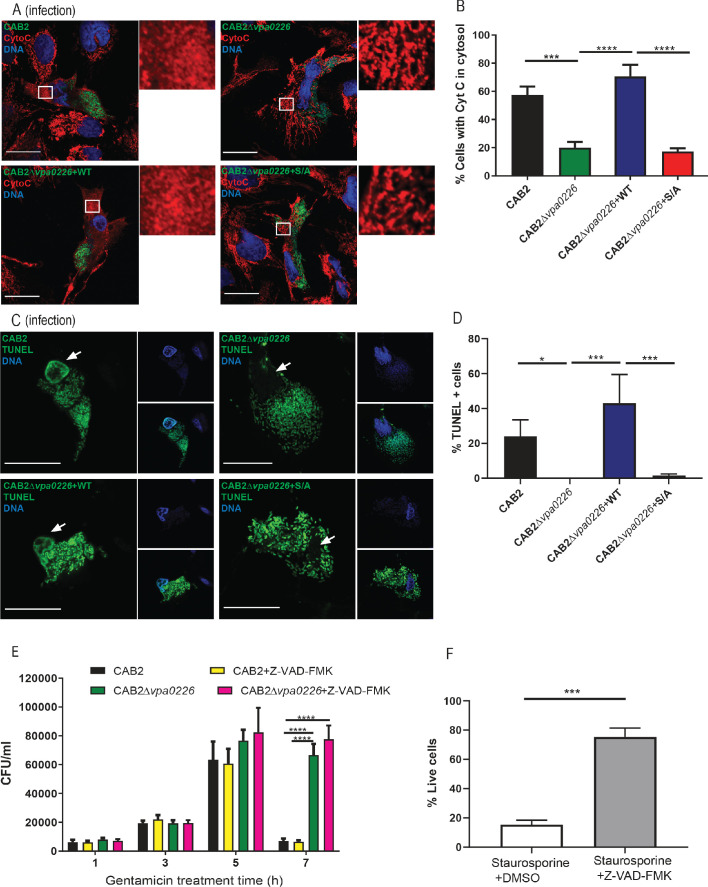 Figure 3—figure supplement 2.