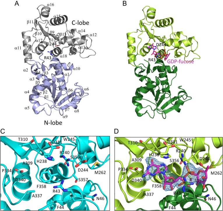 Fig. 2.