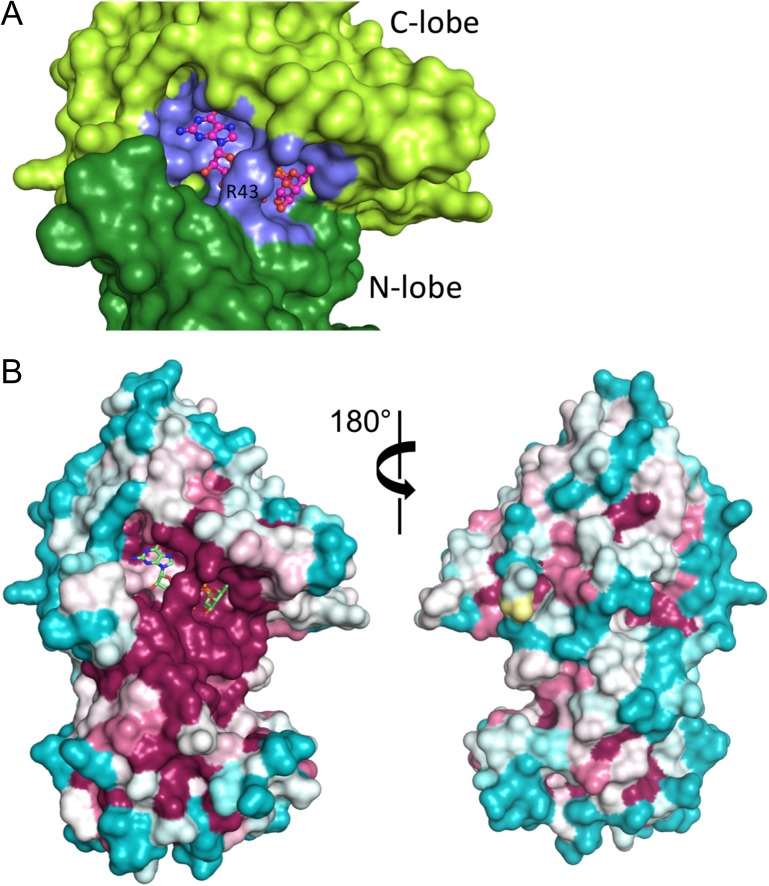 Fig. 4.