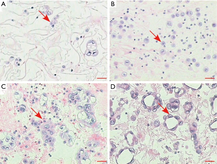 Figure S1