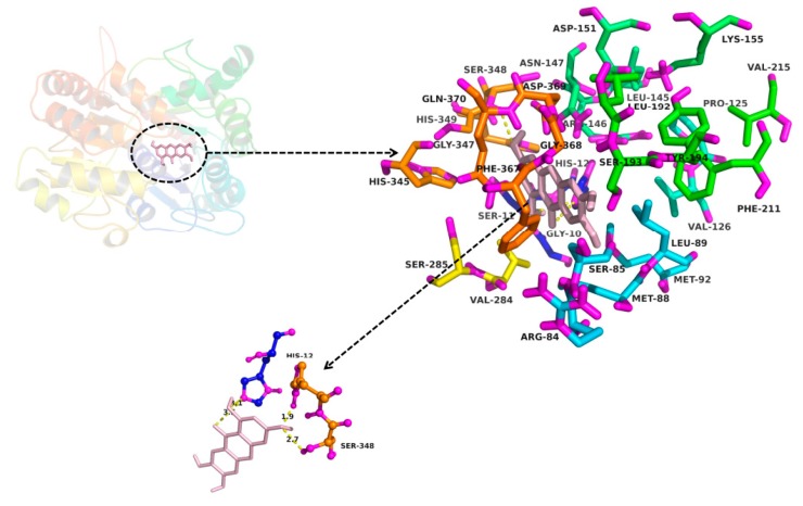 Figure 6