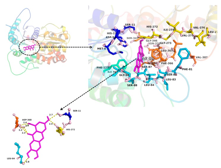 Figure 7