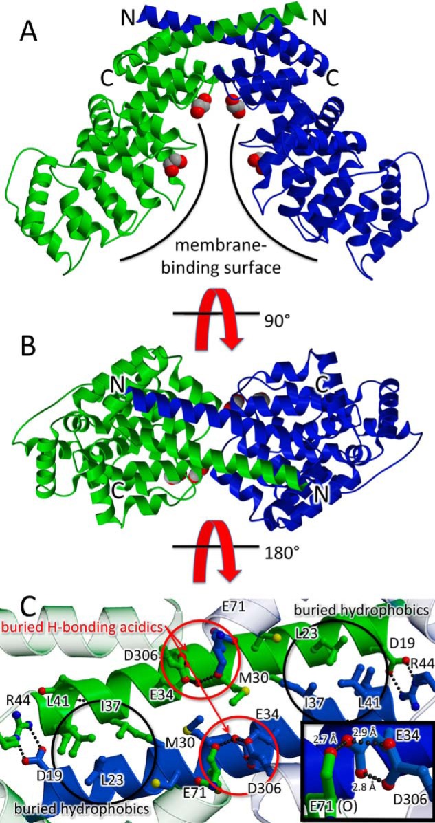 Figure 2.