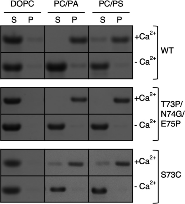 Figure 7.