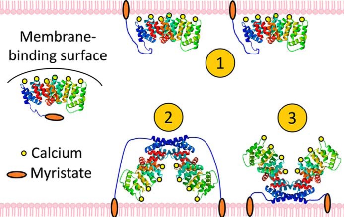 Figure 6.