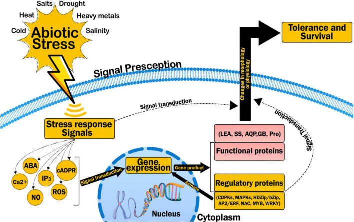 FIGURE 4