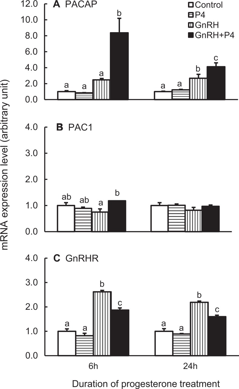 Figure 6.