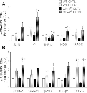 Figure 5