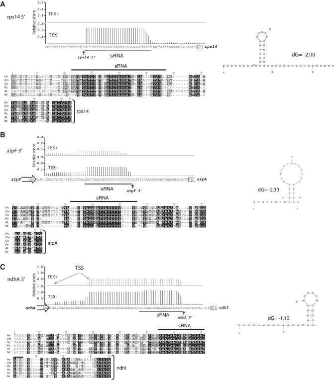 Figure 5.