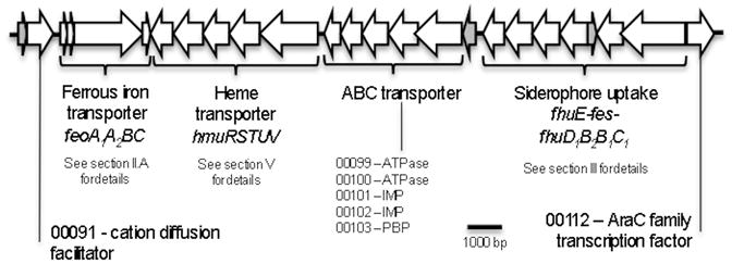 Fig 4