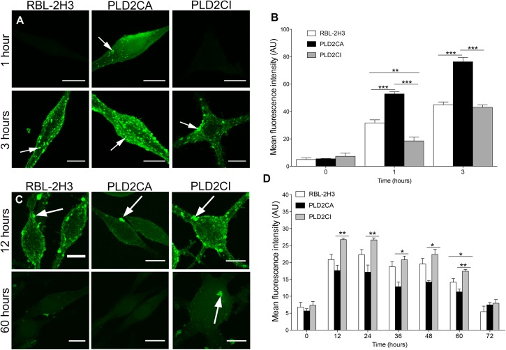 Fig 4