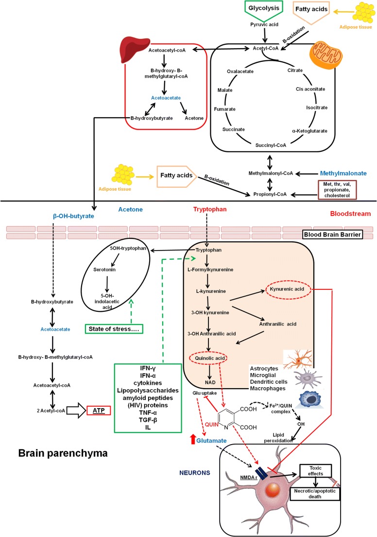 Fig. 6