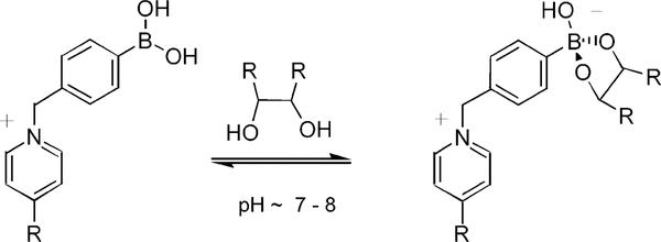 Scheme 1.